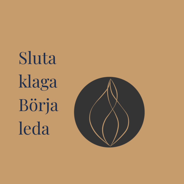 Sluta klaga – Börja leda